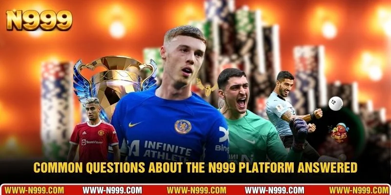 Common Questions About the N999 Platform Answered